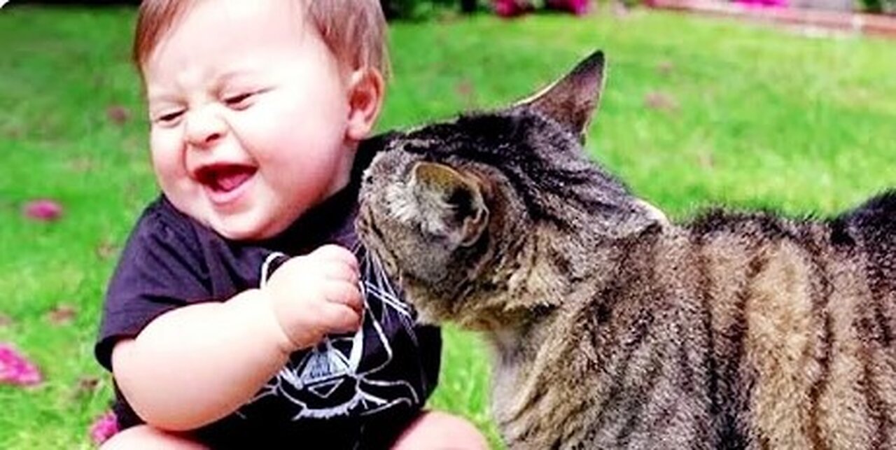 Compilation of Adorable Babies Interacting with Dogs and Cats || Presented by Cool Peachy