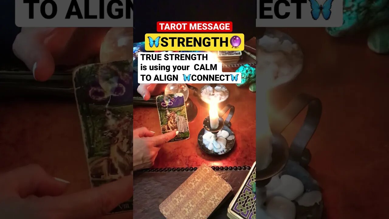 #dailytarotreading #tarotshort#spiritualawakening TAROT MESSAGE🦋💪STRENGTH IS USING YOUR KNOWING