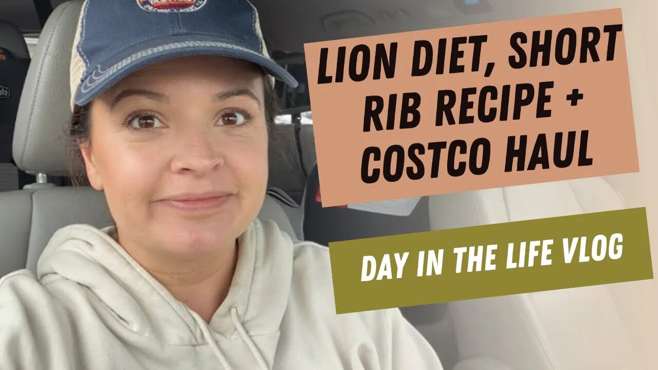 Lion Diet || short rib recipe || Costco haul || daily vlog #carnivorediet #animalbased #carnivoremom