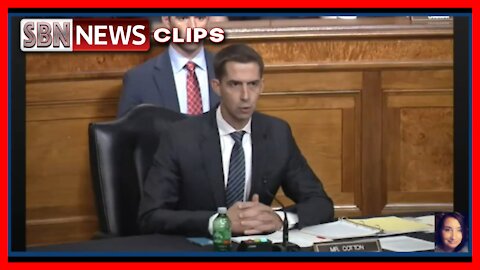 Senator Tom Cotton Questions Milley, Austin & McKenzie About Afghanistan Withdraw - 4123