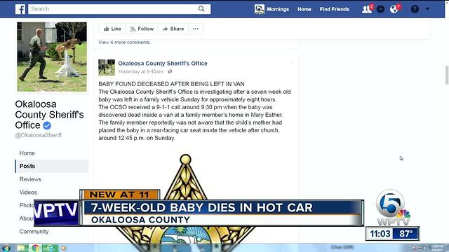 7-week-old Florida child dies, left in hot van for 8 hours