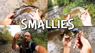 Chasing smallmouth bass on the Stonelick Creek in Southern Ohio