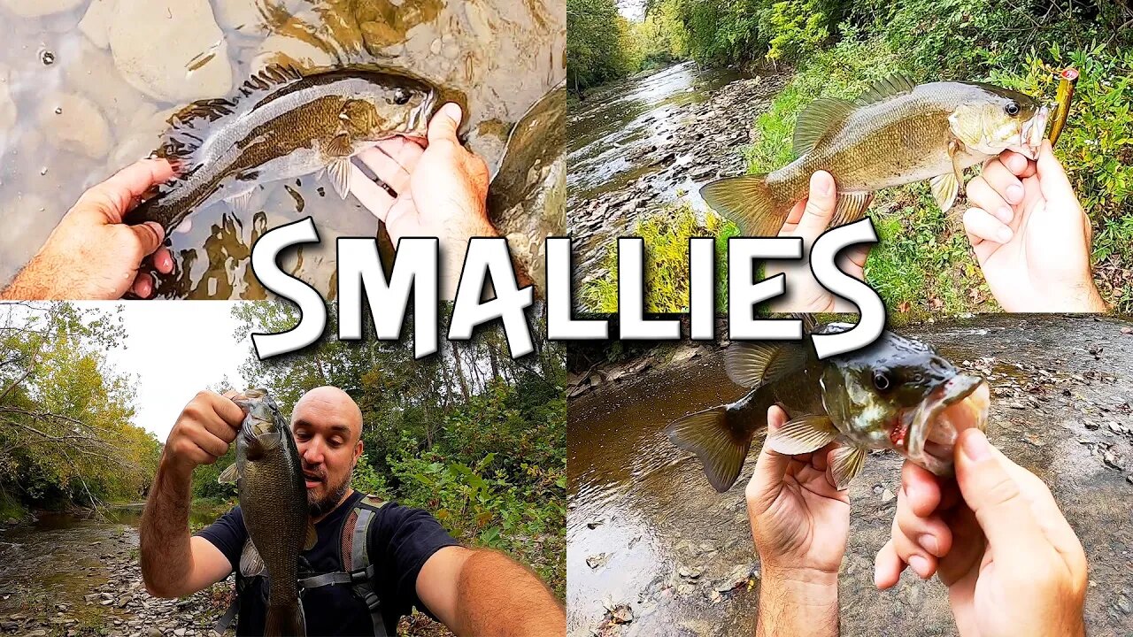 Chasing smallmouth bass on the Stonelick Creek in Southern Ohio