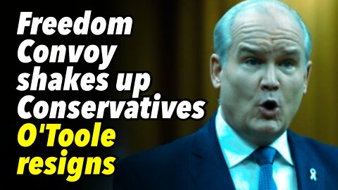 Freedom Convoy shakes up Conservatives, O'Toole resigns