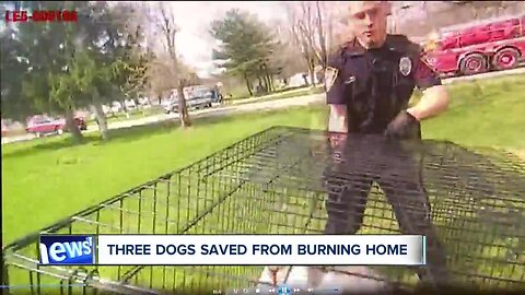 VIDEO: Deputies, firefighters rescue and revive 3 beloved family dogs from burning home