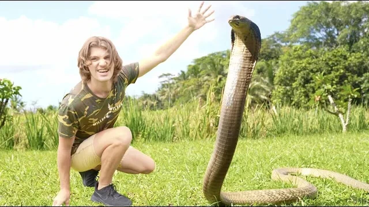 Surviving the JUNGLE of KING COBRA Indonesia! (Venomous SNAKE Documentary)