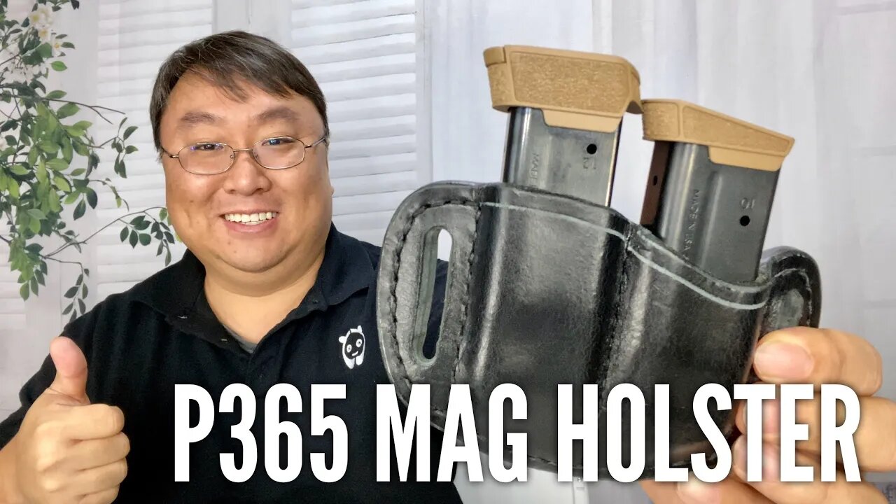 Sig Sauer P365 Dual Magazine Holster Review