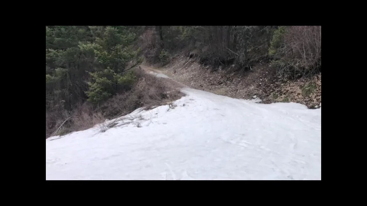 Exploring Marshall Mountain