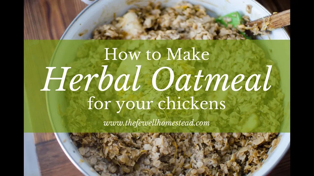 How to Make Herbal Oatmeal for Your Chickens