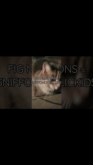 #Biden: "They're small, and I can sneek'em".