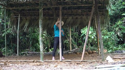 Build bamboo huts, build farms in the forest -8