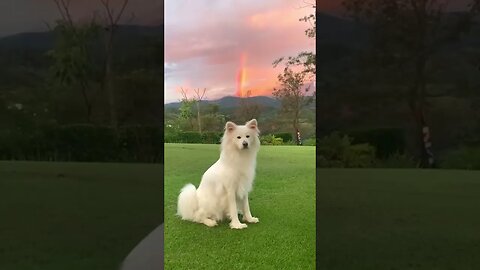 Aquele amanhecer inesquecível 🥰 📍 Laranja da Terra ES