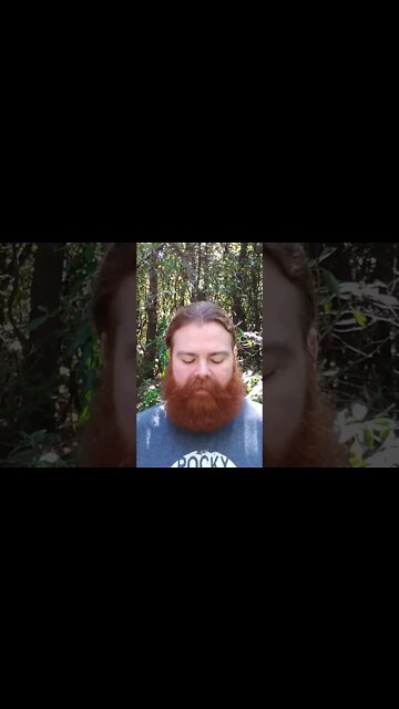 Random Bible Passage of the Day