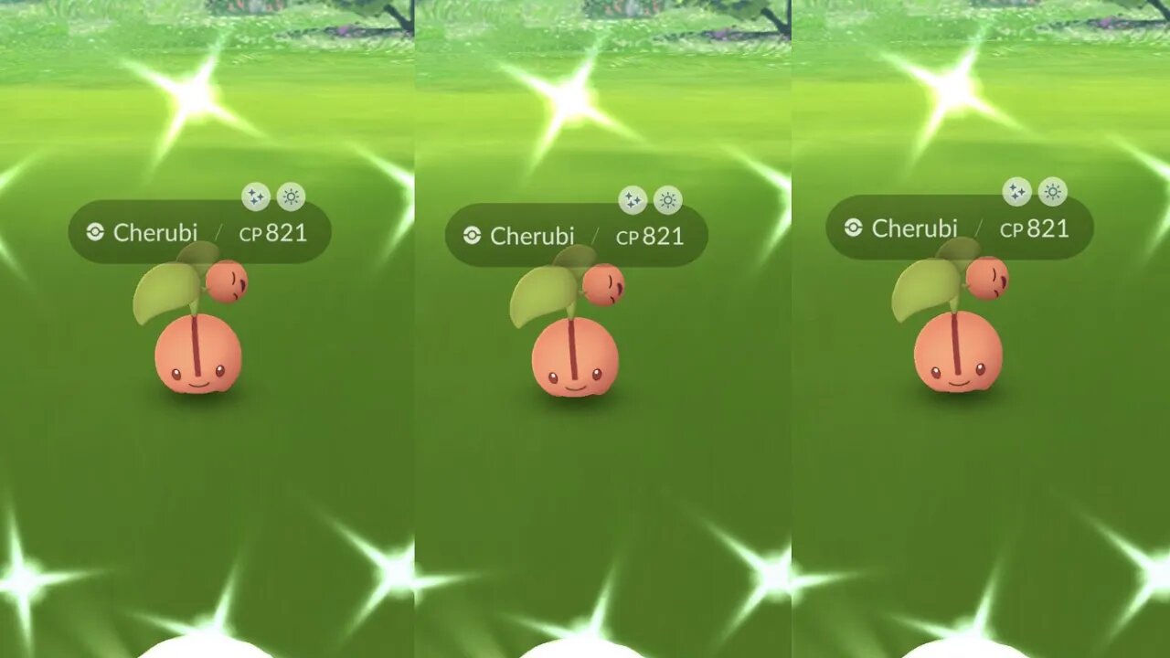 Pokemon Go's Shiny Cherubi Hunting