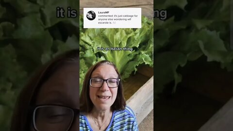 Escarole is Not Cabbage