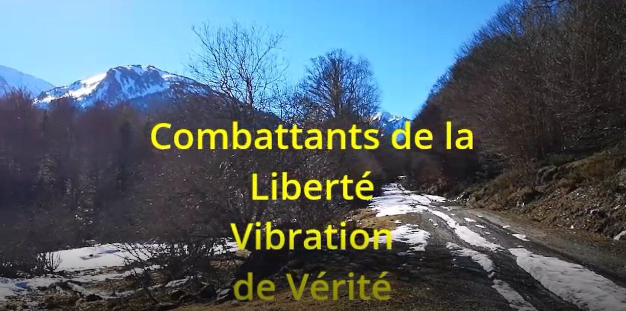 Combattants de la Liberté Vibration de Vérité