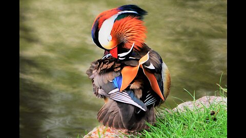 M. Heward Best of Best Photos!