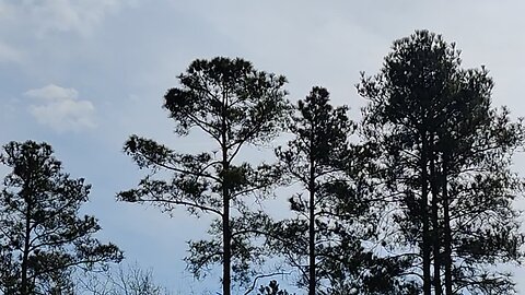 Test 540