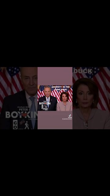 AMNESTY IN THE LAME DUCK https://gorightnews.com/amnesty-in-the-lame-duck