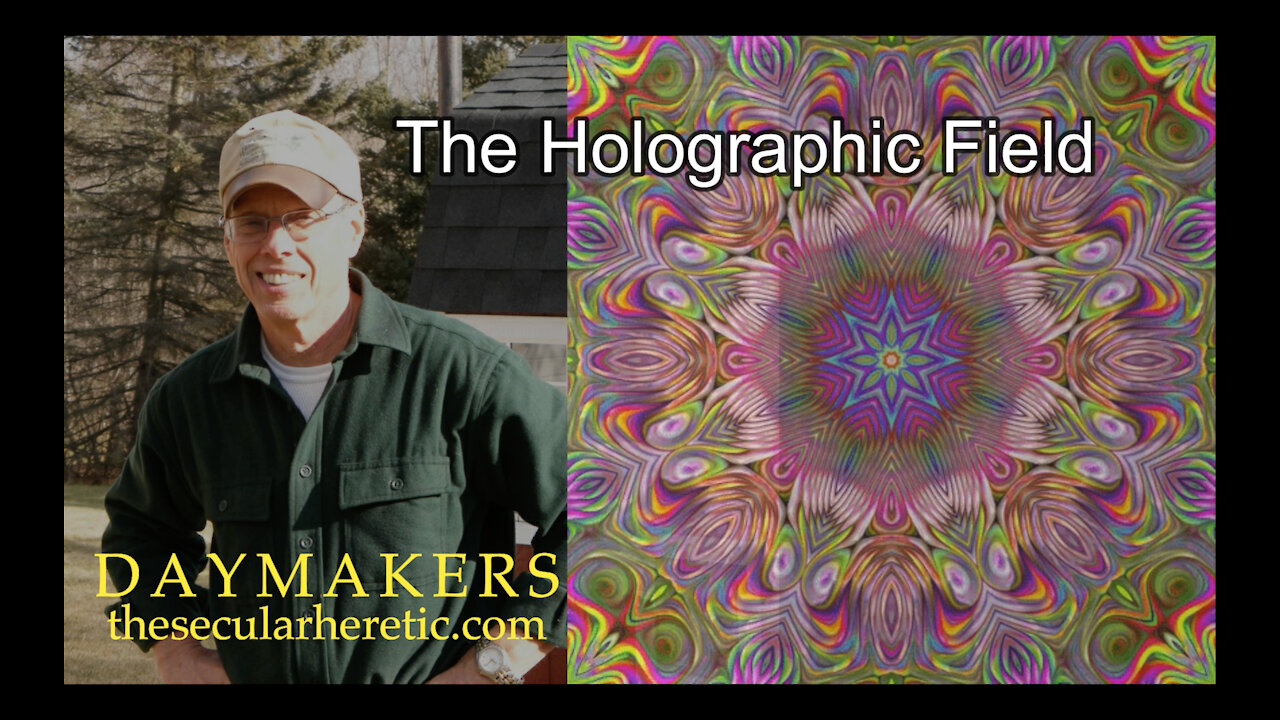 The Holographic Field: Interview with Stephen Robbins Part 2 (Daymakers 16)