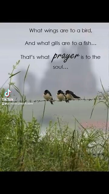 Just remember to PRAY🙏🏽✨👑🍑💕