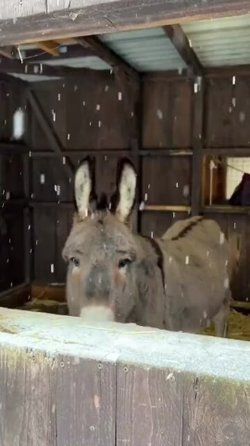 Hello. Good morning 😊😊