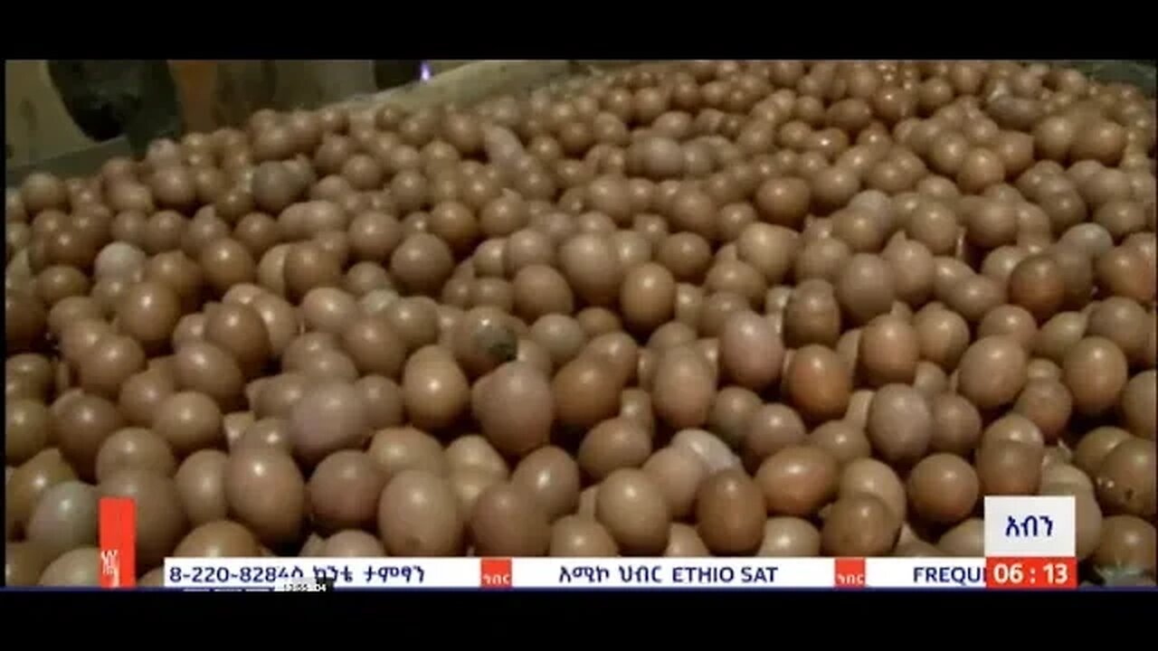 ዱርካዋ ሩብፅጙ እንፅኺ፡ሜስኬሩም 21/2016 ም.አ(አሚኮ)