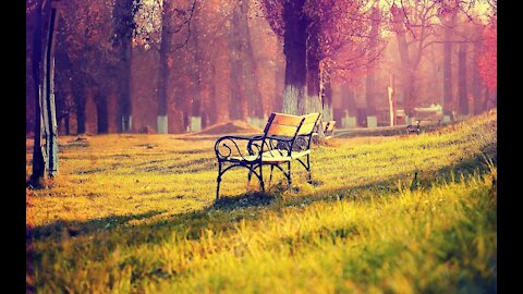 Son of God Bench / He Who Sits on The Throne Activation / Jane Johnson Oracle