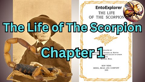 The Languedocian Scorpion: The Dwelling - Chapter 1 of The Life of the Scorpion by Jean-Henri Fabre