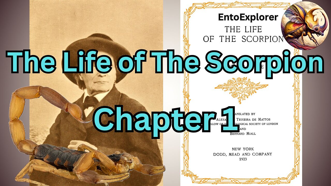 The Languedocian Scorpion: The Dwelling - Chapter 1 of The Life of the Scorpion by Jean-Henri Fabre