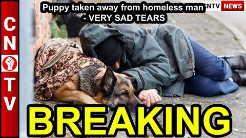 Puppy taken away from homeless man - VERY SAD #TEARS