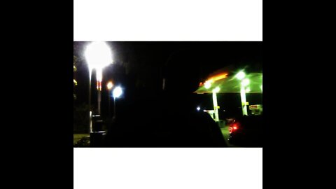 The LITTLE PIGGY that tried to GIVE me ORDERS