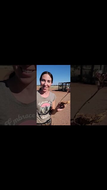 What Is This Mysterious Little Tuber?