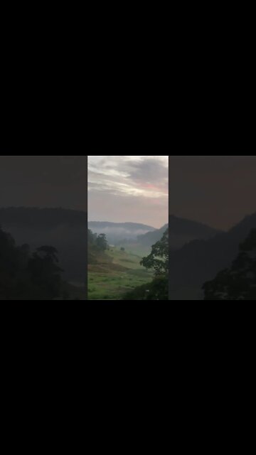 Ethereal morning mist. Merry Christmas