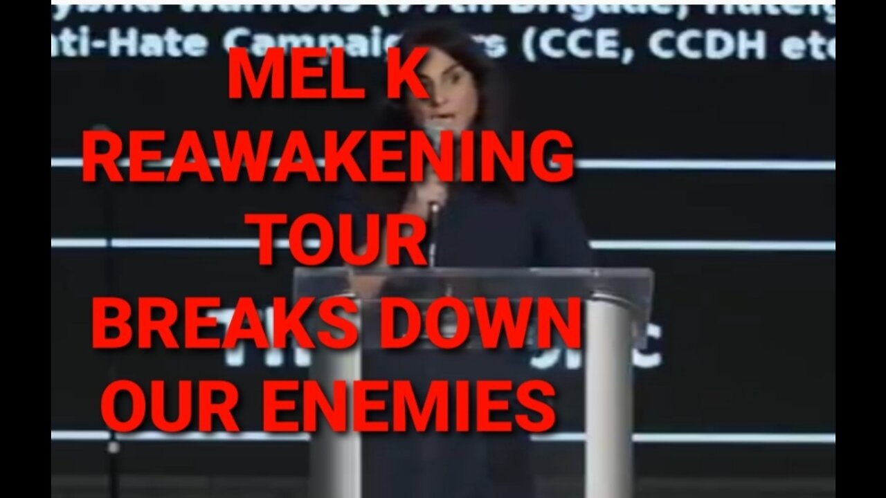 MEL K HELPS TO PAINT A CLEAR PICTURE OF WHOSE WHO IN THE ORGANIZATIONS TRYING TO CONTROL US