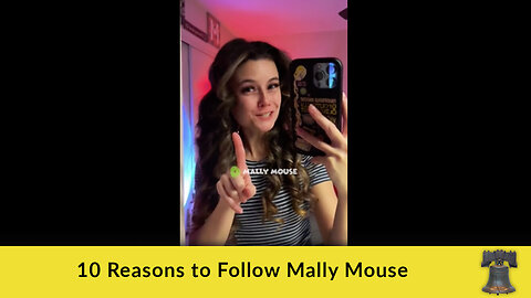 10 Reasons to Follow Mally Mouse