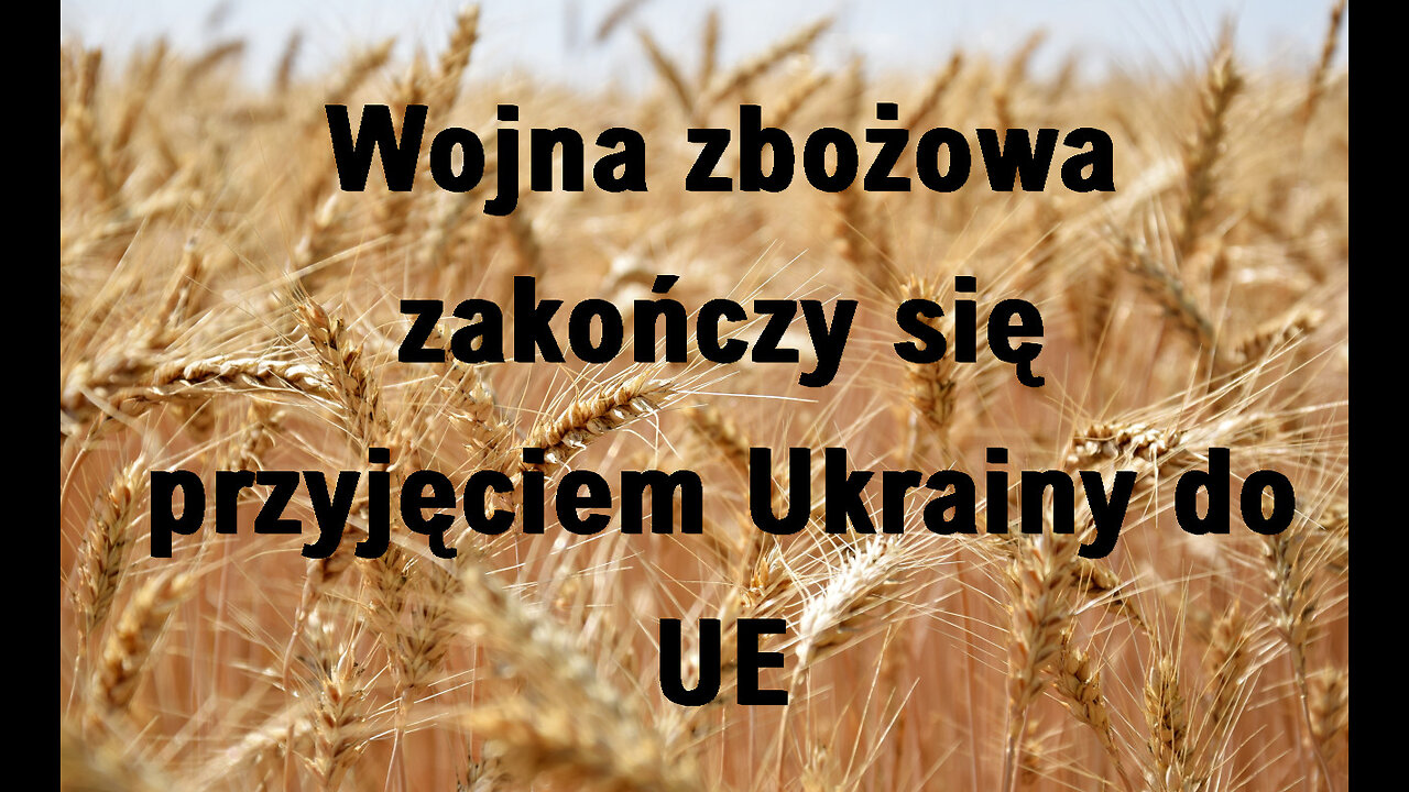 Wojna zbożowa zakończy się przyjęciem Ukrainy do UE