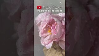 ORAÇÃO FORTE DE SEGUNDA-FEIRA DIA 29 DE MAIO