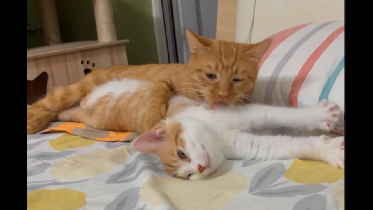 when you are with your girlfriend