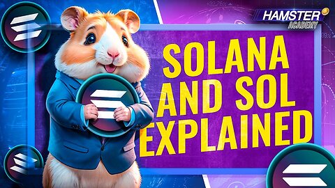 How Solana Works: A Beginner’s Guide 🚀⚡️ Hamster Academy