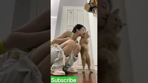 Cute Funny cat#shorts