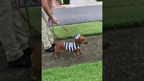 Bad Boy in Action