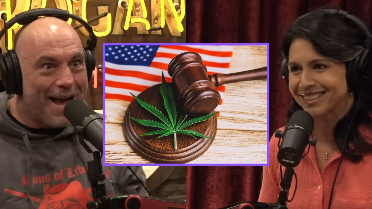 Joe Rogan & Tulsi Gabbard: 'DEA Reclassifies Marijuana to Schedule 3 After 54 Years'