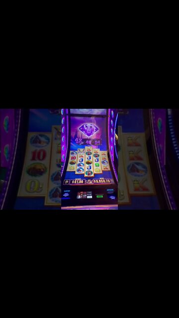 Unbelievable Bonus Round! #shorts #shortsvideo