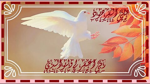 تلاوة جميلة و رائعة جدا @nsrm11