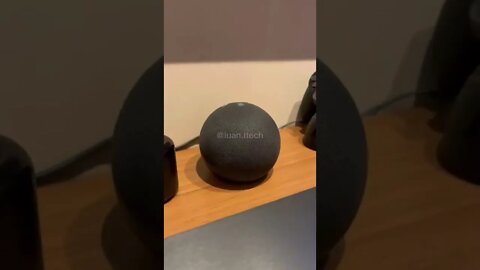 ALEXA E A MÚSICA DO HEXA! FEZ NA SUA?