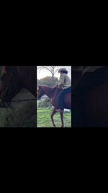 Horsemanship original hoof sound 🐴❤️