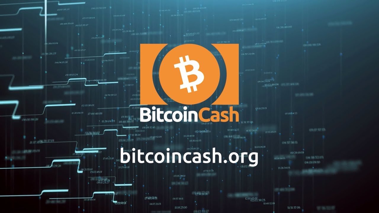 Bitcoin Cash - putting financial power back in the hands of people