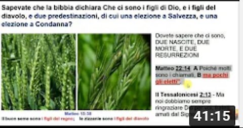 Sapevate che la bibbia parla di due Predestinazioni e Progenie i figli di Dio e i figli del diavolo?