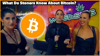 What Do Stoners Know About Bitcoin?